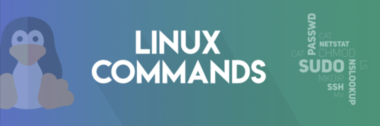 Linux du and df command - Key Differences